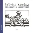 Programy w labiryncie - István Kemény