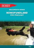 Nowofundlad pies pracujący - Małgorzata Nowak