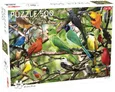 Puzzle Exotic Birds  500