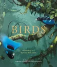 Birds - Roger Lederer