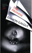 The Promise - Damon Galgut