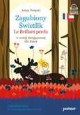 Zagubiony Świetlik Le Brillant Perdu w wersji dwujęzycznej dla dzieci - Outlet - Adam Święcki