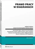 Prawo pracy w diagramach - Ariel Przybyłowicz