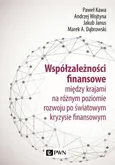 Współzależności finansowe między krajami na różnym poziomie rozwoju po światowym kryzysie finansowym - Andrzej Wojtyna
