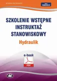 Szkolenie wstępne Instruktaż stanowiskowy Hydraulik - Bogdan Rączkowski