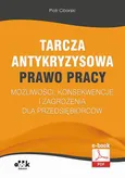 Tarcza antykryzysowa – PRAWO PRACY – możliwości, konsekwencje i zagrożenia dla przedsiębiorców (e-book) - Piotr Ciborski