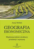 Geografia ekonomiczna. Międzynarodowe struktury produkcji i wymiany - Anna Wróbel