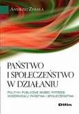 Państwo i społeczeństwo w działaniu. Polityki publiczne wobec potrzeb modernizacji państwa i społeczeństwa - Andrzej Zybała