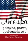 Ameryka. Polityka, prawo, społeczeństwo - Zbigniew Lewicki