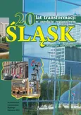 20 lat transformacji w aspekcie regionalnym - 06 Krajobraz śląski. Społeczne aspekty rewitalizacji miast poprzemysłowych