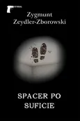 Spacer po suficie - Zygmunt Zeydler-Zborowski