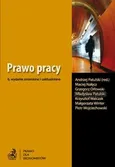 Prawo pracy - Andrzej Patulski