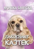 Zakochany Kajtek - Monika Sawicka