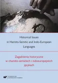 Historical Issues in Hamito-Semitic and Indo-European languages. Zagadnienia historyczne w chamito-semickich i indoeuropejskich językach - 01 Celtic influence and genitive resumptives