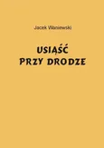 Usiąść przy drodze - Jacek Waniewski