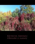 Obrazki z natury - Klemens Junosza