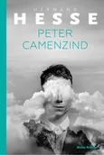 Peter Camenzin - Hermann Hesse