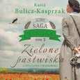 Zielone pastwiska - Kasia Bulicz-Kasprzak