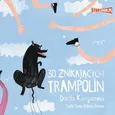 30 znikających trampolin - Dorota Kassjanowicz