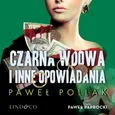 Czarna wdowa i inne opowiadania - Paweł Pollak