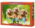 Puzzle 500 Cute Dachshunds