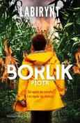 Labirynt - Borlik Piotr