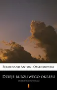Dzieje burzliwego okresu - Ferdynand Antoni Ossendowski