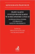 Prawo karne i postępowanie karne w dobie epidemii COVID-19. Doświadczenia polskie i wybranych państw europejskich - Cezary Kąkol