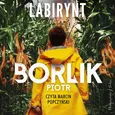 Labirynt - Piotr Borlik