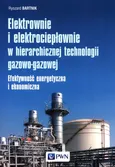 Elektrownie i elektrociepłownie w hierarchicznej technologii gazowo-gazowej - Outlet - Ryszard Bartnik