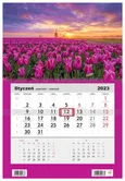 Kalendarz 2023 Jednodzielny Kwiaty Tulipany - Outlet