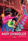 Tajemnica pana Pottera Tom 14 - Andy Chandler