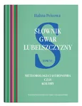Słownik gwar Lubelszczyzny Tom 11 - Halina Pelcowa