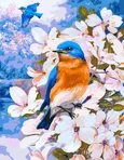 Malowanie po numerach 30x40cm Wiosenne ptaki