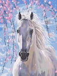 Malowanie po numerach 30x40cm Magiczny koń