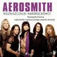 Aerosmith - Niezniszczalni hardrockowcy - Lucas Hugo Pavetto