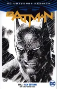 Batman Vol. 1 - David Finch