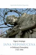 Figury świętego Jana Nepomucena w Ordynacji Zamojskiej 1725-1944 / Krzysztof Bielecki - Agnieszka Szykuła-Żygawska