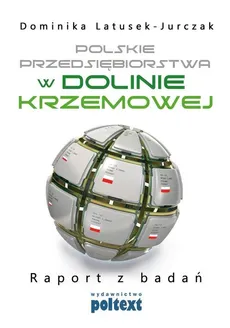 Polskie przedsiębiorstwa w Dolinie Krzemowej - Outlet - Dominika Latusek-Jurczak