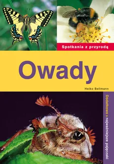 Owady - Heiko Bellmann