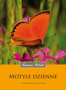 Motyle dzienne - Izabela Dziekańska, Marcin Sielezniew