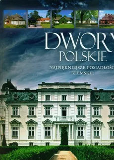 Dwory polskie - Marcin Pielesz
