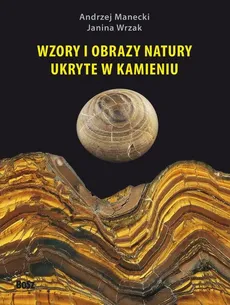 Wzory i obrazy natury ukryte w kamieniu - Andrzej Manecki, Janina Wrzak