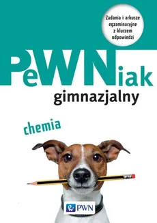 PeWNiak gimnazjalny Chemia - Sebastian Grabowski, Agnieszka Zaraska