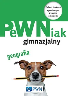 PeWNiak gimnazjalny Geografia - Outlet - Jolanta Gałosz, Daniel Gwizdała