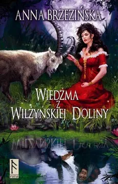 Wiedźma z Wilżyńskiej Doliny - Anna Brzezińska