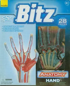 Anatomia człowieka Budowa dłoni