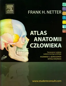 Atlas anatomii człowieka - Netter Frank H.
