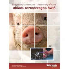 Diagnostyka kliniczna i ultrasonograficzna układu rozrodczego u świń