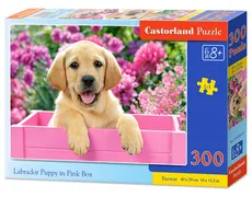 Puzzle Labrador Puppy in Pink Box 300
